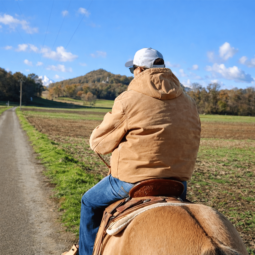 Randonnée à cheval en campagne, vue sur la colline boisée. Cavalier en veste d'automne sur un cheval, regardant une route de campagne et des champs. En arrière-plan, une colline boisée avec un bâtiment.